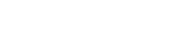 Transreport