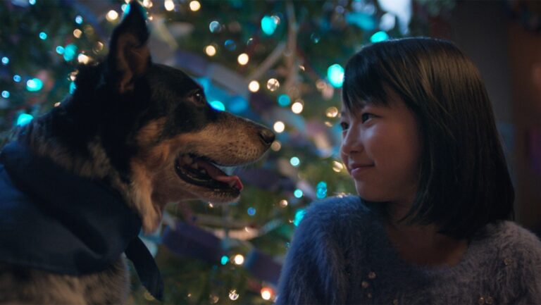 A girl is looking at her dog, with a Christmas tree with blue lights behind them.