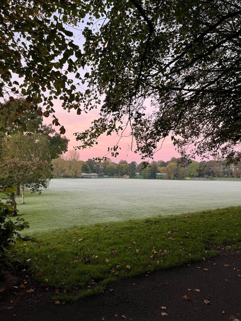 Image of a park in the early hours of the morning. The grass is frosted, and the sky has a pink/purple tone.