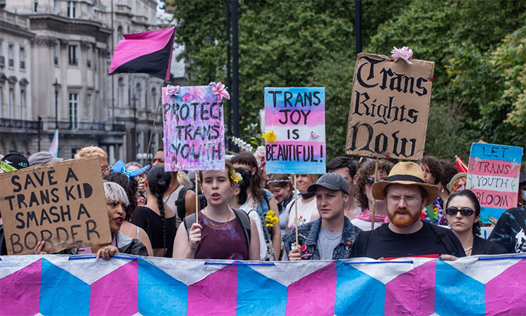 A group of people protesting on the street, holding the trans flag and different signs that say 'Trans Rights Now'.
